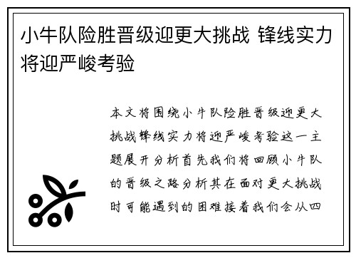 小牛队险胜晋级迎更大挑战 锋线实力将迎严峻考验