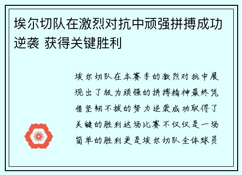 埃尔切队在激烈对抗中顽强拼搏成功逆袭 获得关键胜利