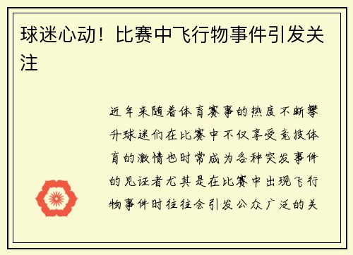 球迷心动！比赛中飞行物事件引发关注