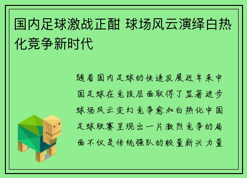 国内足球激战正酣 球场风云演绎白热化竞争新时代